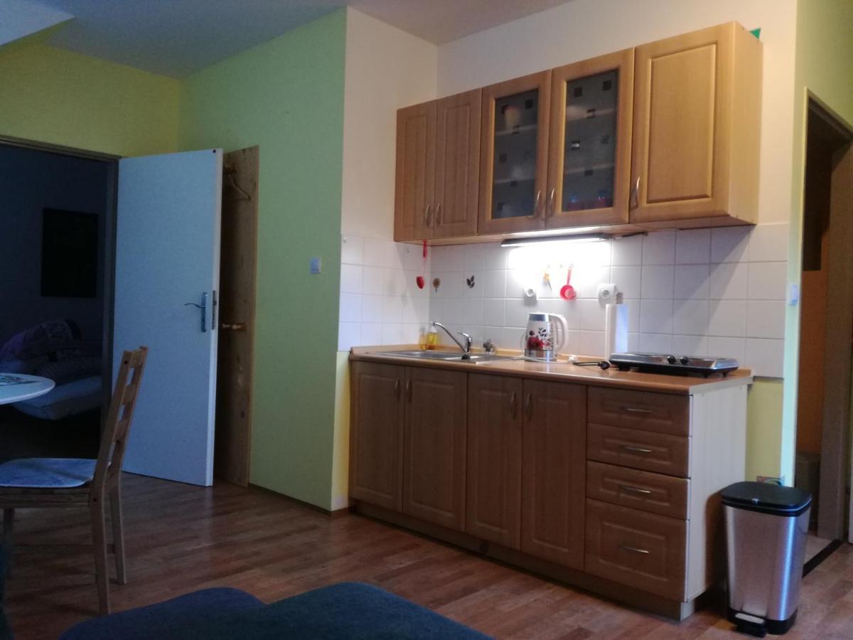 קרלוב Apartman Orbit מראה חיצוני תמונה
